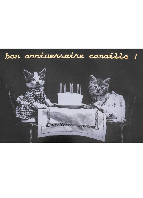 Bon anniversaire Canaille !