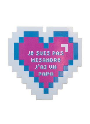 Je suis pas Misandre j'ai un papa Pixel