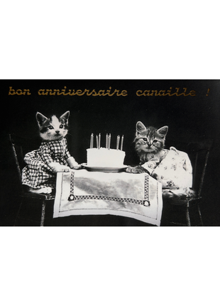 Bon anniversaire Canaille !