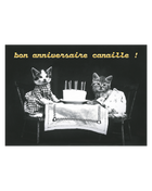 Bon anniversaire Canaille !