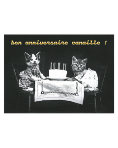 Collection image for: Pour les fêtes et anniversaires