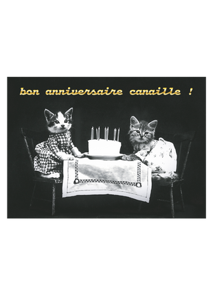 Bon anniversaire Canaille !