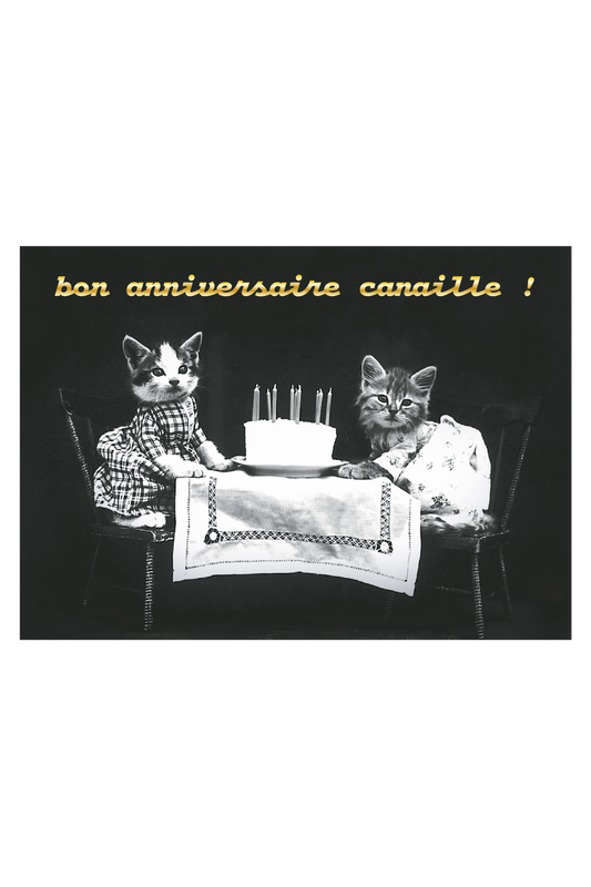 Happy birthday Canaille!