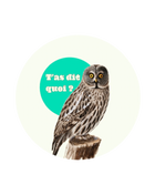 T'as dit quoi ? — Badge clapback