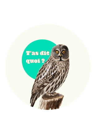 T'as dit quoi ? — Badge clapback