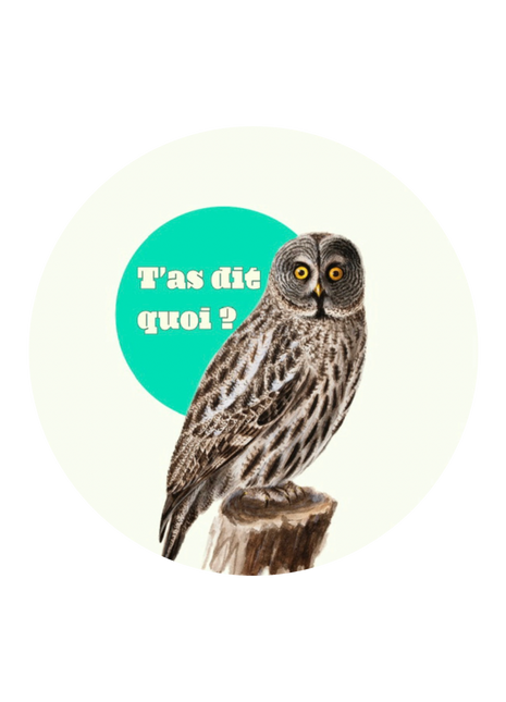 T'as dit quoi ? — Badge clapback