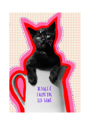 Désolé·e j'aime pas les gens — Carte postale & affiche féministe
